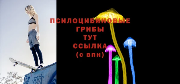 2c-b Абдулино