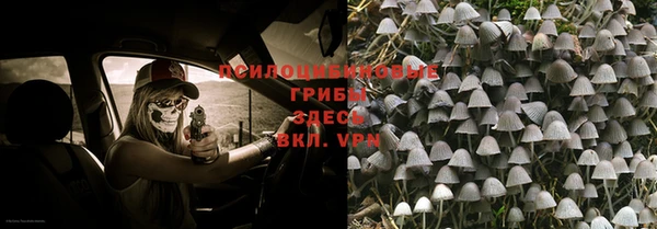 2c-b Абдулино