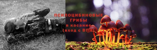 2c-b Абдулино