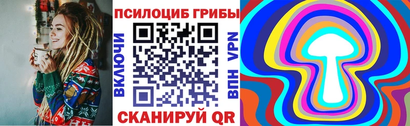 магазин продажи наркотиков  Фрязино  Псилоцибиновые грибы Cubensis 